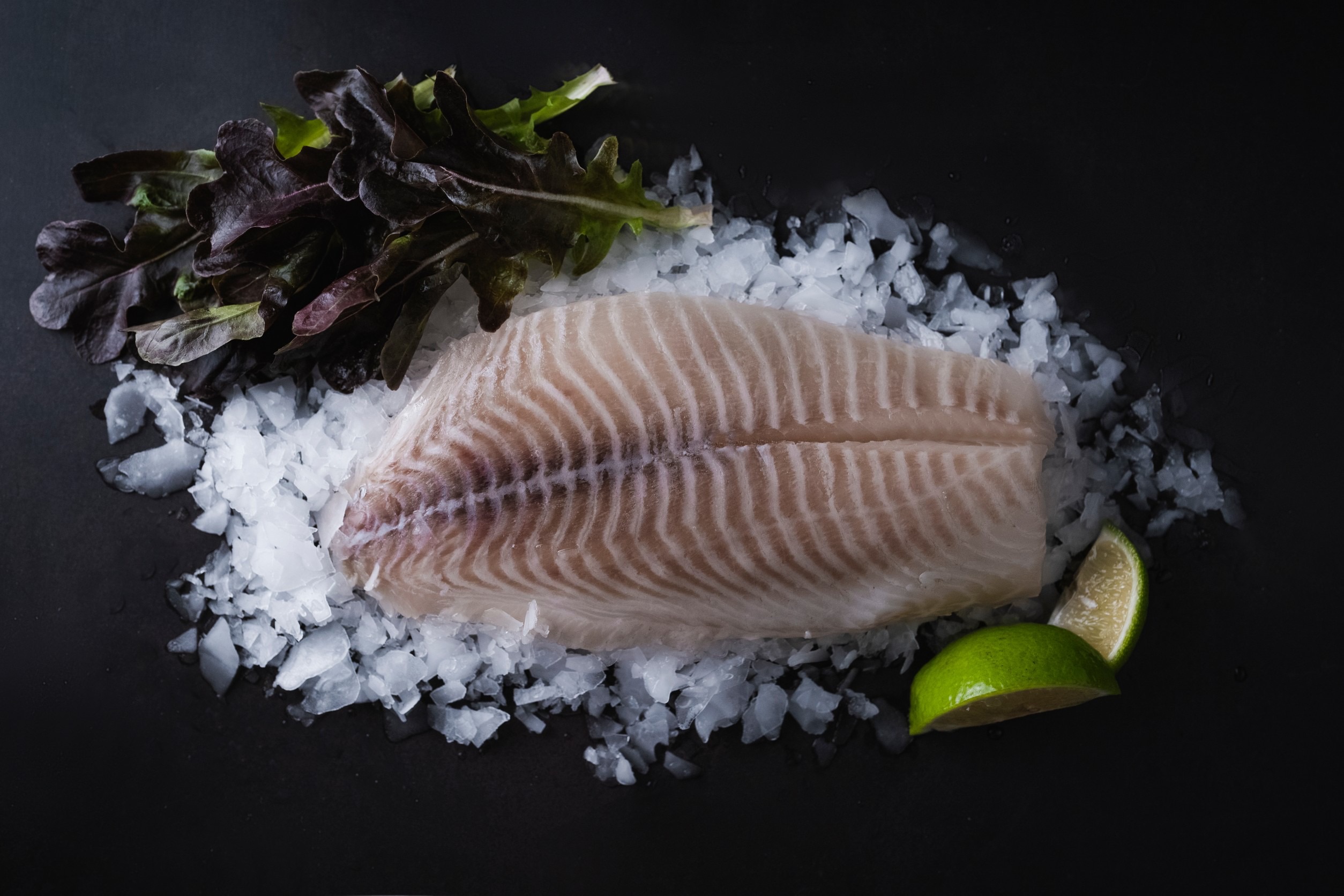 台灣鯛魚片(無一氧化碳CO) 業務包