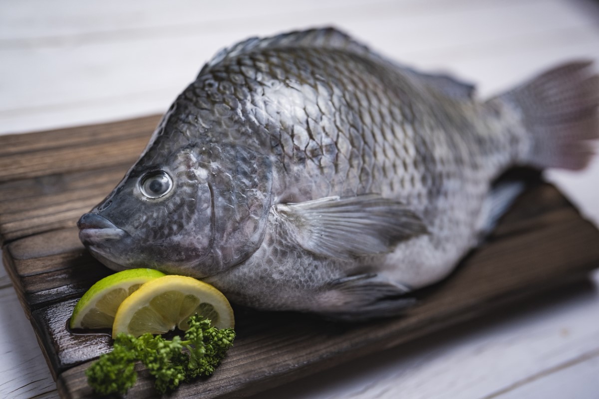 整尾台灣鯛(去鰓去內臟去魚鱗)